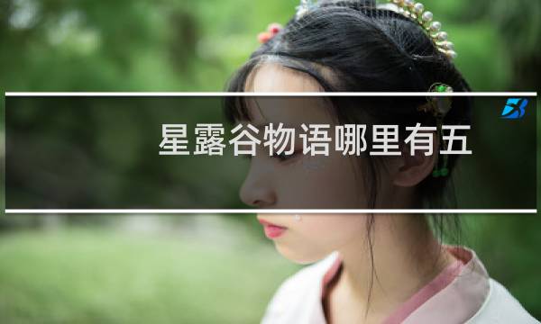 星露谷物语哪里有五