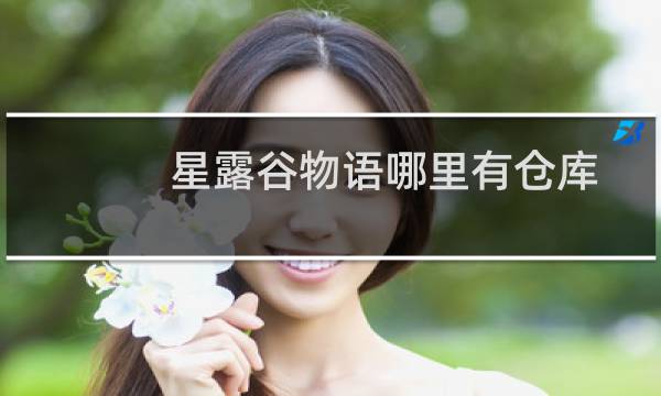 星露谷物语哪里有仓库