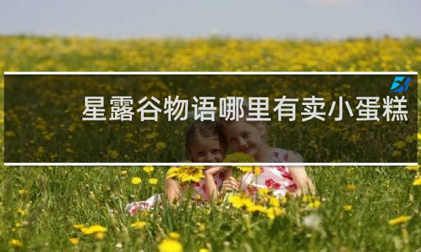 星露谷物语哪里有卖小蛋糕