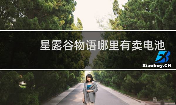 星露谷物语哪里有卖电池