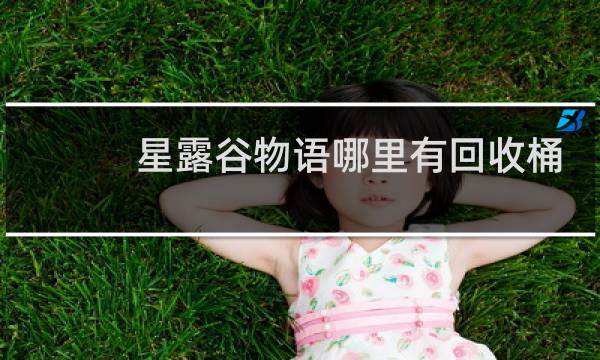 星露谷物语哪里有回收桶