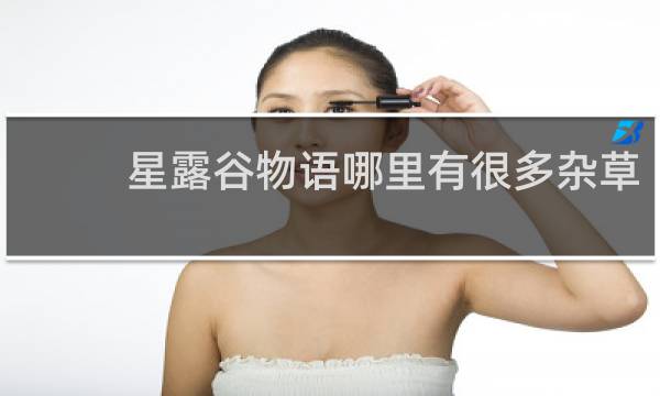 星露谷物语哪里有很多杂草