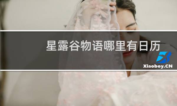 星露谷物语哪里有日历