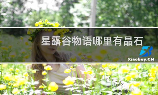 星露谷物语哪里有晶石
