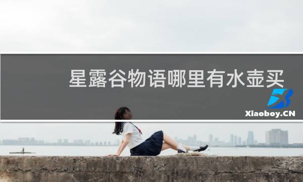 星露谷物语哪里有水壶买