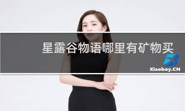 星露谷物语哪里有矿物买