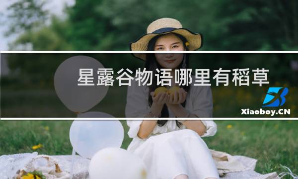星露谷物语哪里有稻草
