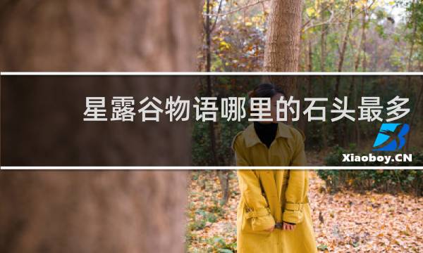星露谷物语哪里的石头最多