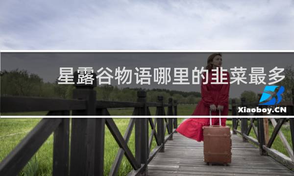 星露谷物语哪里的韭菜最多