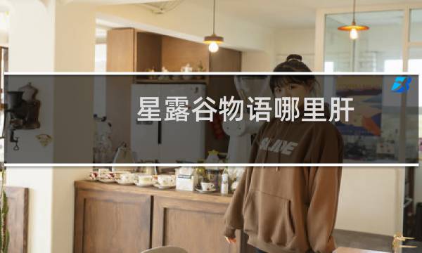 星露谷物语哪里肝