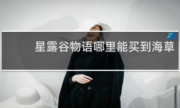 星露谷物语哪里能买到海草