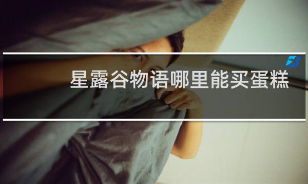 星露谷物语哪里能买蛋糕