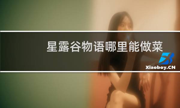 星露谷物语哪里能做菜