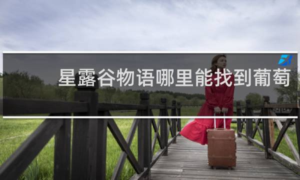 星露谷物语哪里能找到葡萄