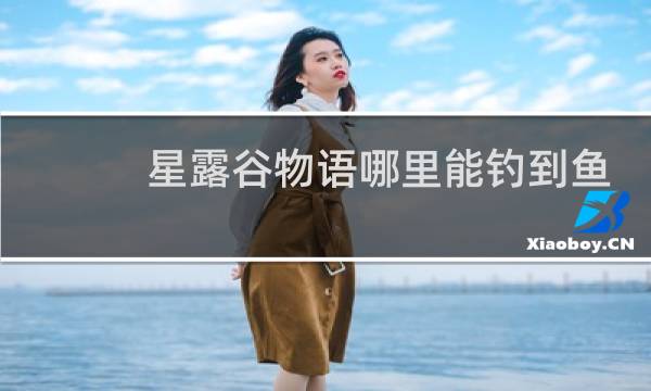 星露谷物语哪里能钓到鱼