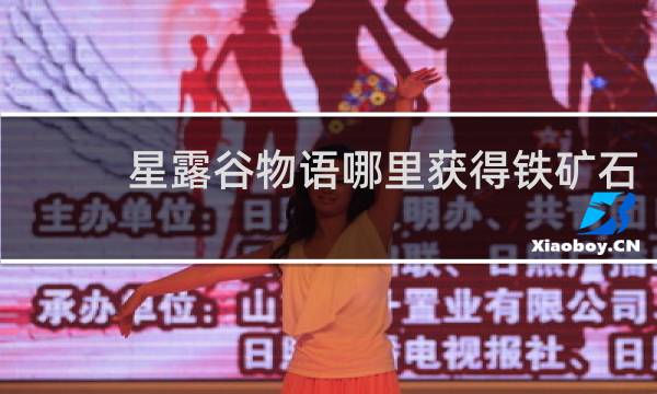 星露谷物语哪里获得铁矿石