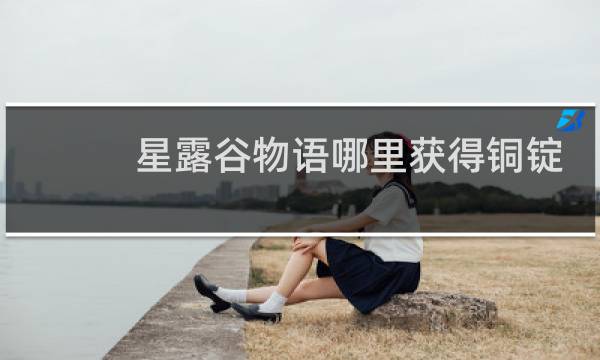 星露谷物语哪里获得铜锭