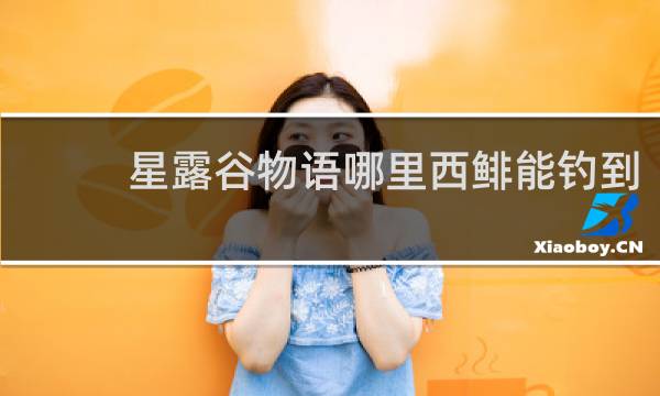 星露谷物语哪里西鲱能钓到