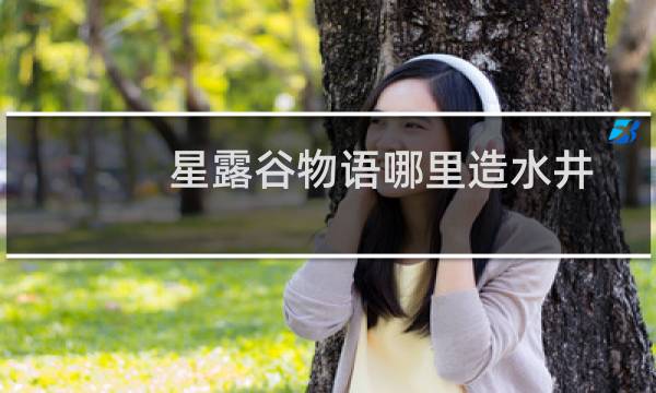 星露谷物语哪里造水井