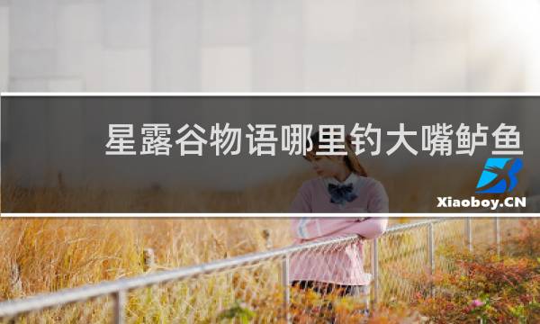 星露谷物语哪里钓大嘴鲈鱼