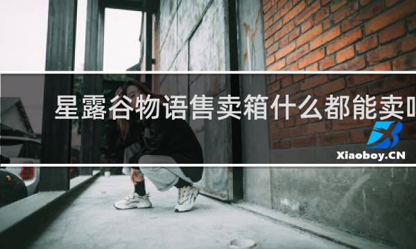 星露谷物语售卖箱什么都能卖吗