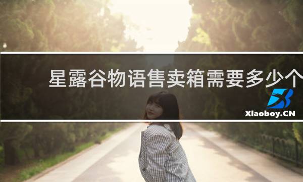 星露谷物语售卖箱需要多少个