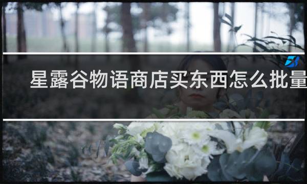 星露谷物语商店买东西怎么批量买