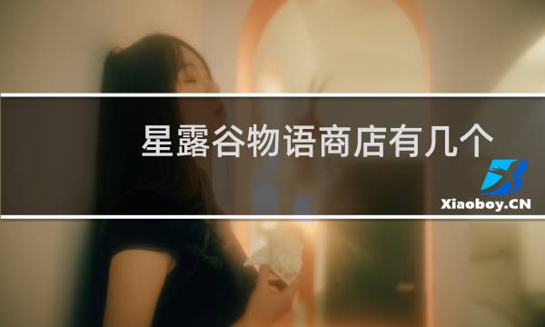 星露谷物语商店有几个