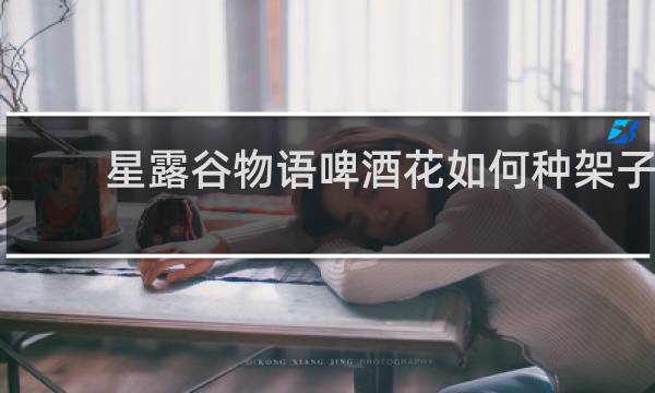 星露谷物语啤酒花如何种架子