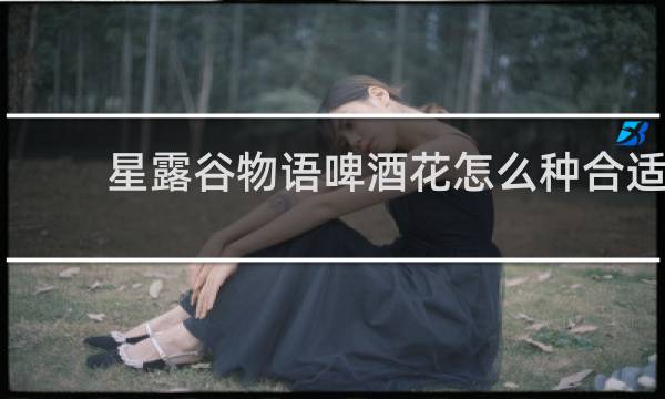 星露谷物语啤酒花怎么种合适