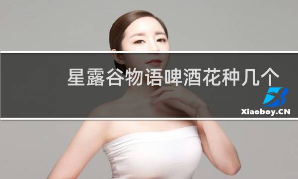 星露谷物语啤酒花种几个