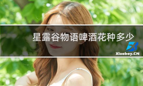 星露谷物语啤酒花种多少