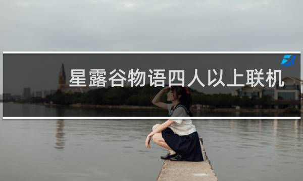 星露谷物语四人以上联机