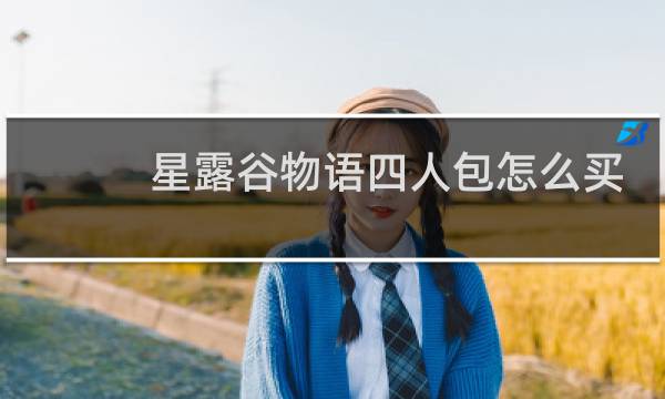 星露谷物语四人包怎么买