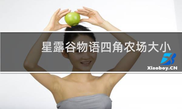 星露谷物语四角农场大小