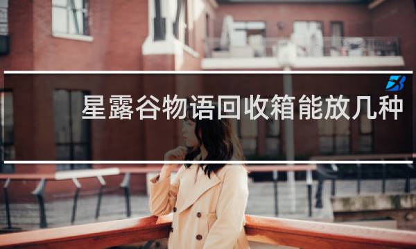 星露谷物语回收箱能放几种