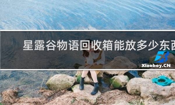 星露谷物语回收箱能放多少东西
