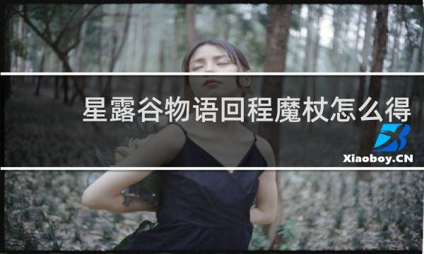 星露谷物语回程魔杖怎么得