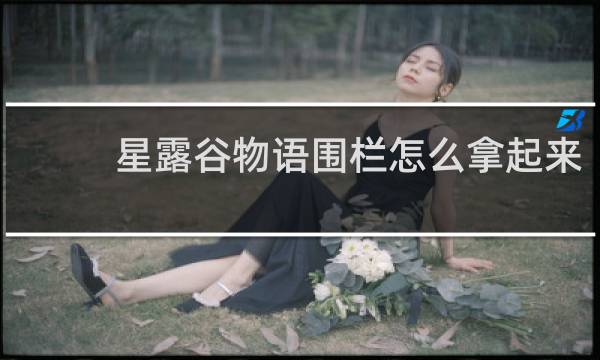 星露谷物语围栏怎么拿起来