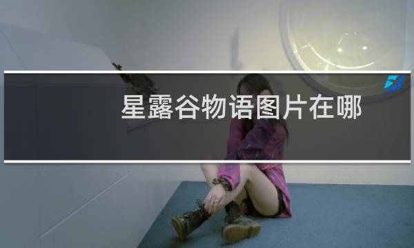 星露谷物语图片在哪