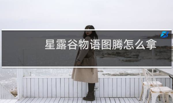 星露谷物语图腾怎么拿