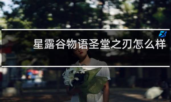 星露谷物语圣堂之刃怎么样