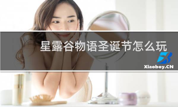 星露谷物语圣诞节怎么玩