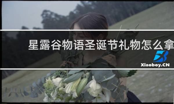 星露谷物语圣诞节礼物怎么拿