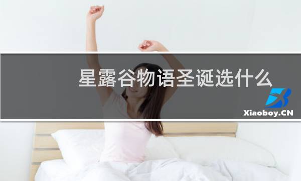 星露谷物语圣诞选什么