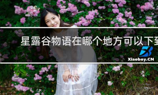 星露谷物语在哪个地方可以下到