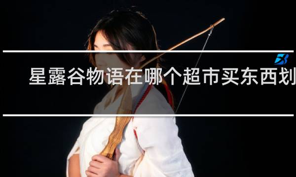 星露谷物语在哪个超市买东西划算