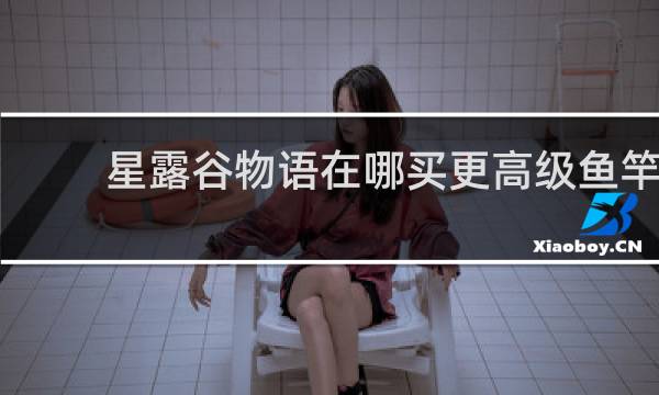 星露谷物语在哪买更高级鱼竿