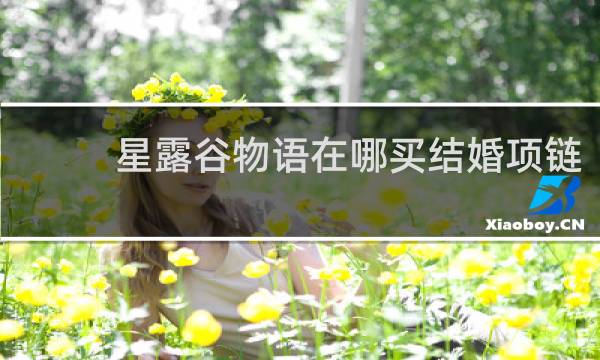 星露谷物语在哪买结婚项链