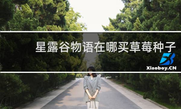 星露谷物语在哪买草莓种子